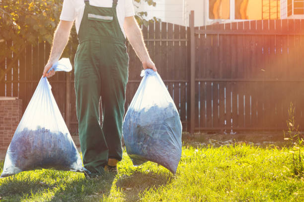 Best Junk Hauling Services  in Daleville, IN