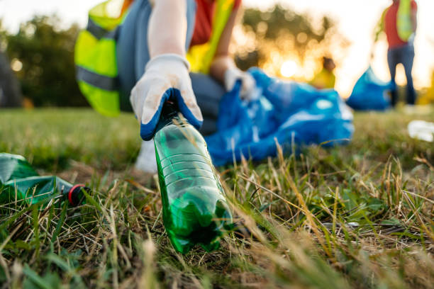 Best Yard Waste Removal  in Daleville, IN