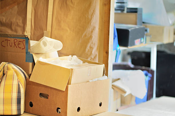 Best Attic Cleanout Services  in Daleville, IN